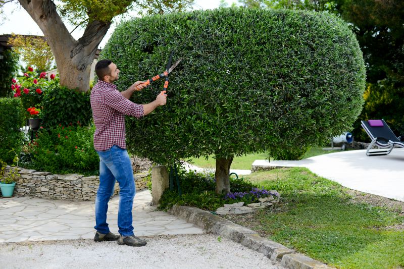 Landscaper Shaping a Large Bush