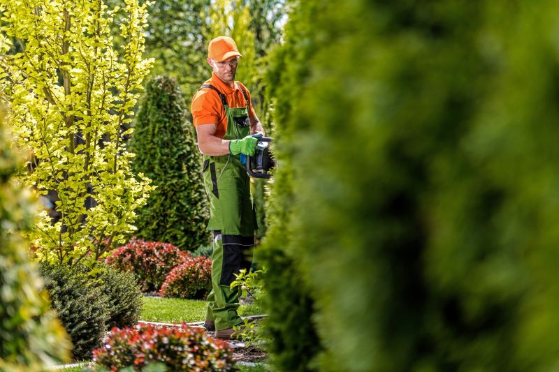 Summer Shrubs Maintenance