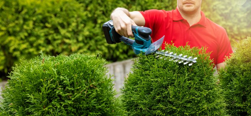 Professional shrub trimming equipment