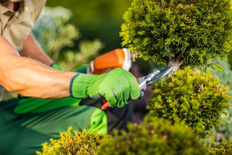 Garden maintenance in Hendersonville