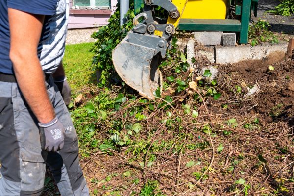 Hedge Removal Service in Hendersonville
